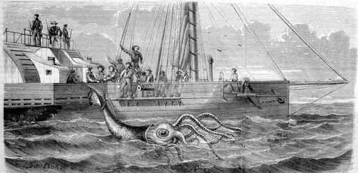 El primer calamar gigante capturado en 1861 por la corbeta francesa Alecton. Al izarlo a bordo, se partió por la mitad y desapareció en el fondo del mar. Grabado de finales del siglo XIX. Bretón