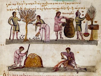 La cosecha de aceitunas, la producción de miel y el sacrificio de corderos