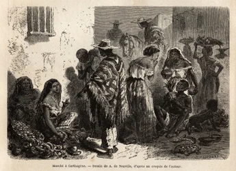 La marcha de Cartagena (Colombia). Grabado para ilustrar el viaje a Nueva Granada, por Dr. Saffray, en 1869, publicado en 