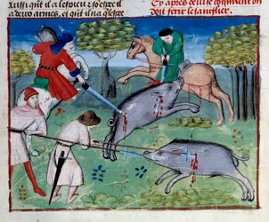 Caza del jabalí salvaje del libro de caza de Gastón III Phoebus, Conde de Foix