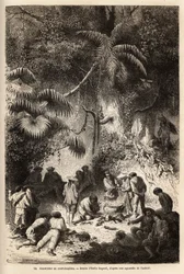 La preparación de una comida en el bosque virgen en el valle de Caravaya (cordillera de los Andes), una boa constrictor con caldo corto. Grabado para ilustrar el viaje en los valles de Quinquinas (Perú), por Paul Marcoy, en 1849-1861, publicado en 