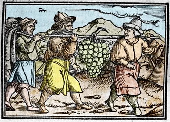 El regreso de Josué y Caleb con un gran racimo de uvas de la tierra de Canaán (Tierra Prometida). Crónica de Johann Stumpff