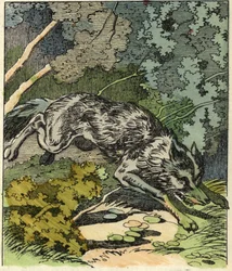 El lobo corre a la casa de la abuela. Ilustración del cuento "Caperucita Roja" de Charles Perrault