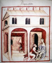 Tratado de medicina “Tacuinum sanitatis” del siglo XIV: el uso de agua caliente. B.N, Viena.
