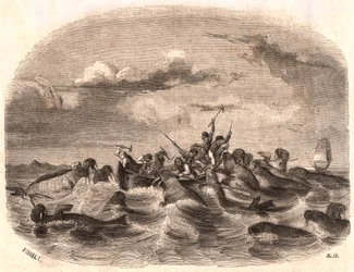 Vista de un grupo de marineros ingleses persiguiendo una manada de morsas en 1818 frente a la costa de Spitsbergen