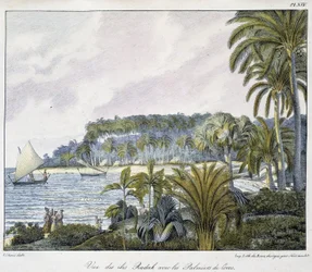 Vista de las Islas Radak del archipiélago de las Islas Marshall