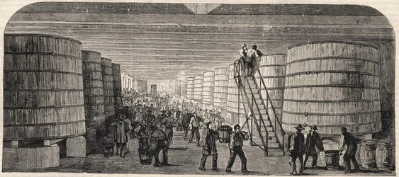 Vista de la bodega en el Chateau - Lafitte en 1860