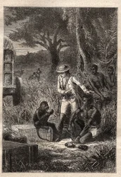 Viaje a la Cafrería (Sudáfrica) (1781) de François Levaillant (Le Vaillant) (1753-1824): Levaillant y su mono degustador Maître Kees, que prueba las frutas y raíces para verificar que son comestibles - ilustración tomada de “Los grandes marineros del siglo