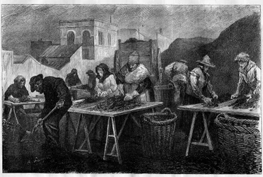 Trabajadores en Francia: Clasificadores de coque (variedad de carbón resultante de la destilación del carbón, utilizado en calefacción) en una fábrica de gas en París. Grabado en “Le Monde Illustré”
