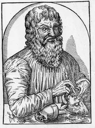 Retrato de Hipócrates (460- alrededor 377 a.C.), médico griego