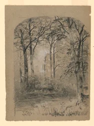 Dibujo, Estudio de bosque, 1865-70