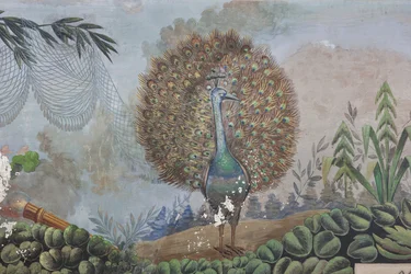 Un pavo real, detalle de 3743687