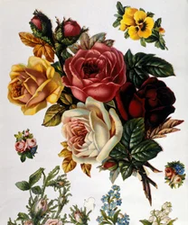Un ramo de rosas.