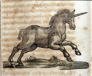 Unicornio, animal mitológico - Grabado de una obra de Athanasius Kircher