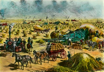 Revolución agrícola: cosecha de trigo en Dakota con máquinas de vapor en el siglo XIX