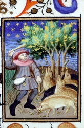 Representación alegórica de noviembre. Un hombre con un grupo de cerdos comiendo bellotas. Miniatura de un manuscrito del siglo XIV.