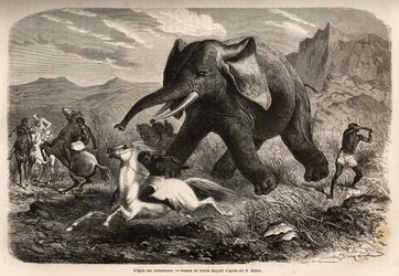 Un elefante termina con la tropa que lo perseguía y carga contra los cazadores a caballo, mientras uno de los cazadores arma su brazo para detenerlo y acabar con él con un pantano. Grabado para ilustrar la exploración de los tributarios abisinios del Nilo,