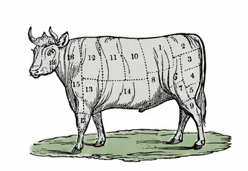 Ilustración anónima de finales del siglo XIX.