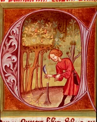 Botánica: un jardinero realizando un trasplante. Miniatura de «El Rusticano o Libro del provecho del campo y la agricultura» (Rerum ruralium commodorum) de Pietro de Crescenzi (Crescent Stone o Crescens Stone) (1233-1320), siglo XIV. Praga, Biblioteca