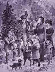 Vendedor de árboles de Navidad
