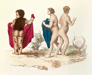 «Obras completas de Buffon»: Historia natural del hombre: joven persona negra con hirsutismo y siamés (grabado)