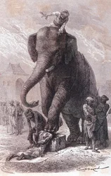 Ejecución en la India: los criminales son ejecutados: su cabeza es aplastada por un elefante conducido por su karnac, grabado 1875