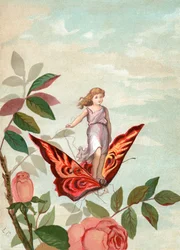 Hada Montando una Mariposa Entre Rosas