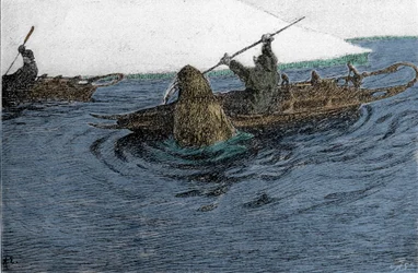 Fridtjof Nansen (1861-1930), explorador noruego, atacado por una morsa durante la expedición al Polo Norte en 1896. Lleva la Schlitte en el kayak. Grabado del siglo XIX.