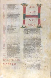 Haec sunt nomina: Inicial del Libro del Éxodo, siglo XI (miniatura, manuscrito membranoso)