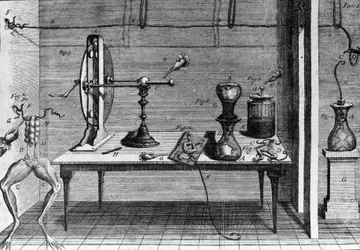 Ilustración de experimentos de Luigi Galvani, físico y médico italiano (1737 - 1798) explicando el paso de corriente eléctrica moviendo las patas de una rana.