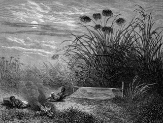 En Masoumbo: Mosquitero de Livingstone - “El último viaje de Livingstone 1866-1873” en “Tour du Monde”, 2do semestre de 1875
