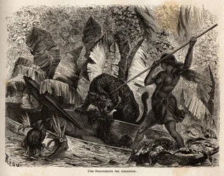 Indio ticuna (Perú) atacando con una lanza a un tigre que acaba de saltar a su canoa y herir a su compañero, los ticunas del río Nhamondas son reputados por sus esposas guerreras, por lo que los primeros viajeros y estudiosos que los observaron los llamaro