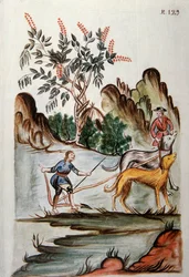 Indios arando un campo con perros, del libro "Trujillo del Perú" o "Códice Martínez Compañón", por Baltazar Martínez Compañón y Bujanda, obispo de Trujillo (1782-1785)