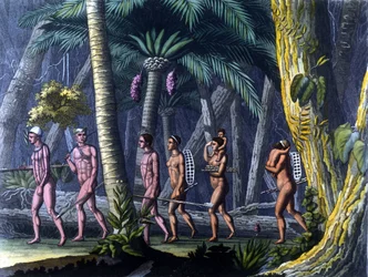 Indios Puris en la selva (Brasil) - en "Le costume ancien et moderne" por Ferrario, ed. Milán