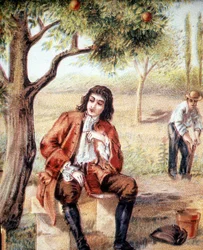 Isaac Newton (1642-1727), matemático, físico y astrónomo inglés, encuentra la teoría de la gravitación observando la caída de un manzano, ilustración del siglo XIX.