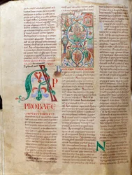 Árbol de Jesé. Miniatura del manuscrito 