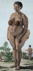 La Venus Hotentote, mujer de la raza Bochiman; grabado de 1815.