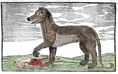 La bestia del Gévaudan, grabado de 