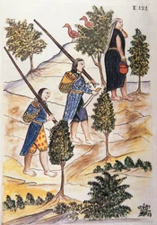Indios motilones yendo a cazar, del libro "Trujillo del Perú" o "Códice Martínez Compañón", por Baltazar Martínez Compañón y Bujanda, obispo de Trujillo (1782-1785)