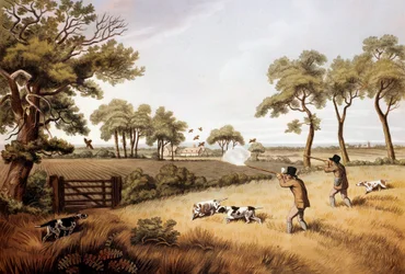 Escena de caza de perdices: litografía del siglo XIX