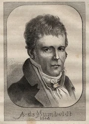 Retrato de Alexander von Humboldt (1769-1859) - ilustración de 