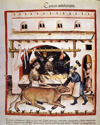 Producción y venta (carnicería) de carne de res: una res es aturdida. Iluminación del libro de medicina y dietética “Tacuinum sanitatis”