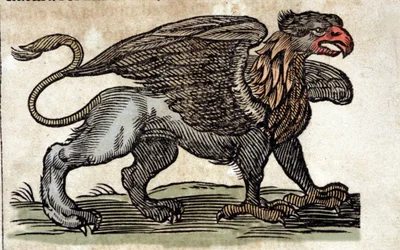 Representación de un grifo, criatura fantástica mitad águila mitad león. Grabado de una obra de Athanasius Kircher (1601 - 1680), jesuita, orientalista y erudito.