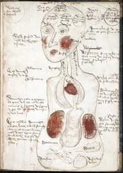 Representación de una teoría aristotélica de la conciencia (De: De corpore et anima) - Anónimo - 1497 - Acuarela sobre pergamino - 22x15,8 - Biblioteca de la Universidad John Rylands