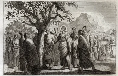 Biblia de Royaumont, Nuevo Testamento: Conversión de Zaqueo. Jesucristo hablando con Zaqueo subido al sicomoro. Ilustración de 1811.