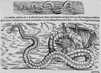Serpiente marina, criatura marina según Conrad Gesner