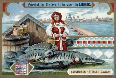 Esturión, esterlina, caviar, con una joven sosteniendo cubos, frente a una ciudad rusa - cromolitografía de Liebig