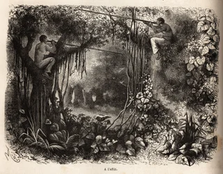 Los indios Yahua de Perú están al acecho de presas, encaramados en las ramas y armados con cerbatanas con flechas envenenadas. Grabado para ilustrar el viaje del Océano Pacífico al Océano Atlántico, a través de América del Sur, en 1848-1860 por Paul M