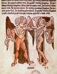 La constelación de Géminis (detalle)
