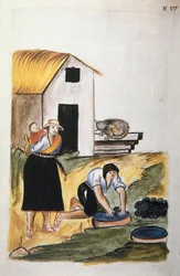 El teñido de la lana, del libro "Trujillo del Perú" o "Códice Martínez Compañón", por Baltazar Martinez Compañón y Bujanda, obispo de Trujillo (1782-1785)